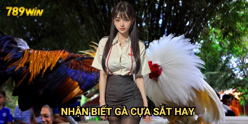 Nhận biết gà cựa sắt hay 789win: Bí quyết từ chuyên gia