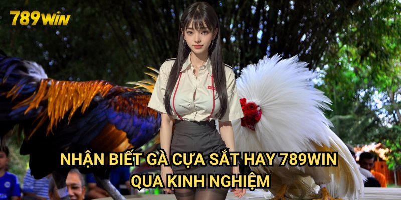 Nhận biết gà cựa sắt hay 789win: Bí quyết từ chuyên gia 3 Nhận biết gà cựa sắt hay 789win qua kinh nghiệm