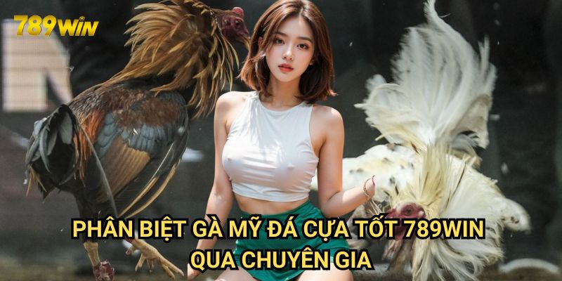 Phân biệt gà Mỹ đá cựa tốt 789win: Bí kíp cho người chơi 3 Phân biệt gà Mỹ đá cựa tốt 789win qua chuyên gia